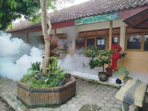 Fogging / Penyemprotan Nyamuk Penyebab Demam Berdarah (DBD)